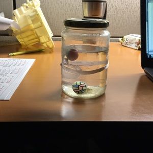 Meet your Posher, Richard